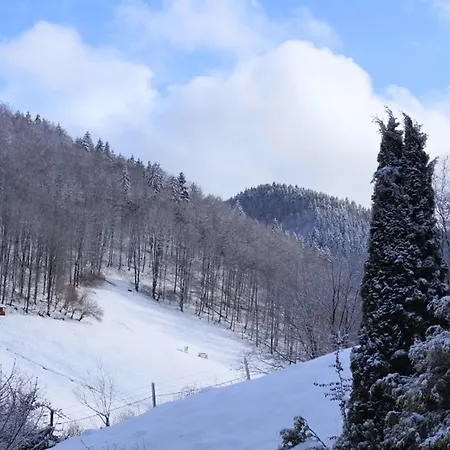 Spacious Near Ski Area In Hezberg