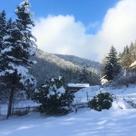 Spacious Near Ski Area In Hezberg Sieber