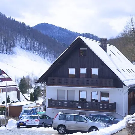 Διαμέρισμα Spacious Near Ski Area In Hezberg Sieber