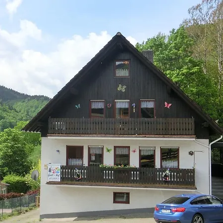 Spacious Near Ski Area In Hezberg Sieber